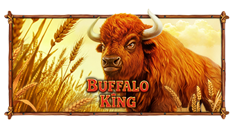 Buffalo King — Pragmatic Play